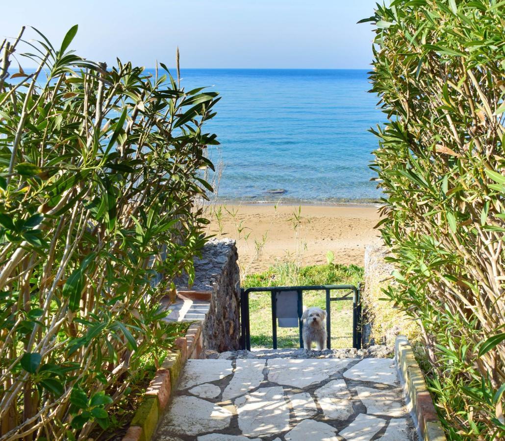 Ionian Senses - Corfu, Menigos * Glyfada (Corfu)